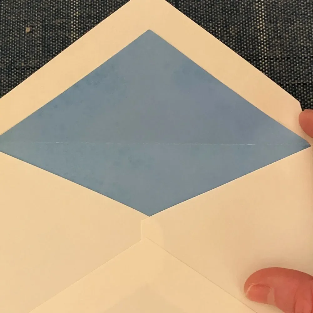 10 White and Blue Envelopes